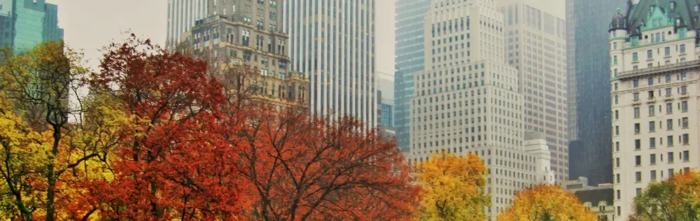 famous new york restaurants